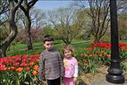 2010-04-11 11-53-24_0101